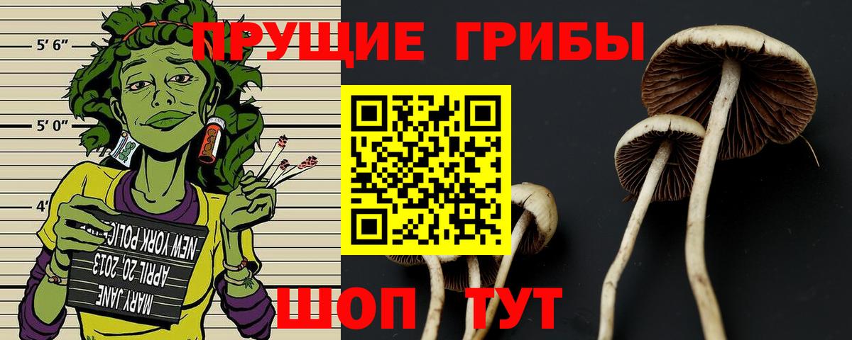 Псилоцибиновые грибы MAGIC MUSHROOMS  Галлюциногенные грибы Psilocybine cubensis  Туапсе  Вход с VPN 